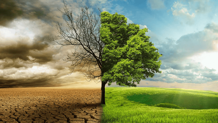 Fwd: Bible study – November 22, 2024